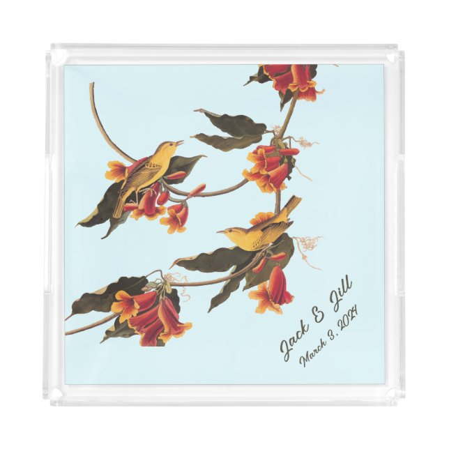 Audubon Yellow Warblers on Crossvine Plate 65 Acrylic Tray (Front)