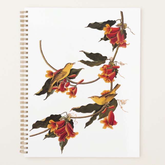 Audubon Yellow Warblers on Crossvine Plate 65 Planner (Front)