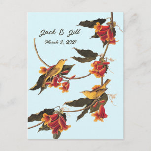 Audubon Yellow Warblers on Crossvine Plate 65 Postcard
