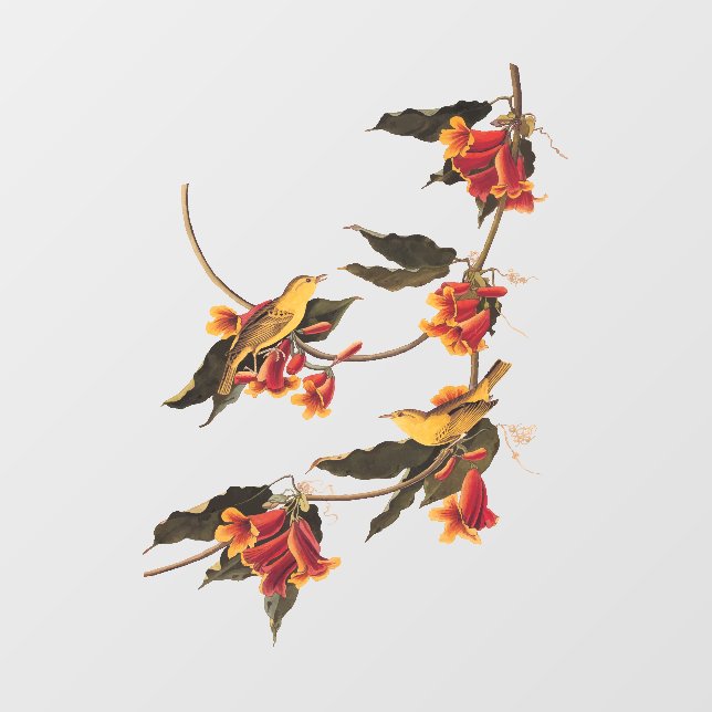 Audubon Yellow Warblers on Crossvine Plate 65 Window Cling (Sheet)