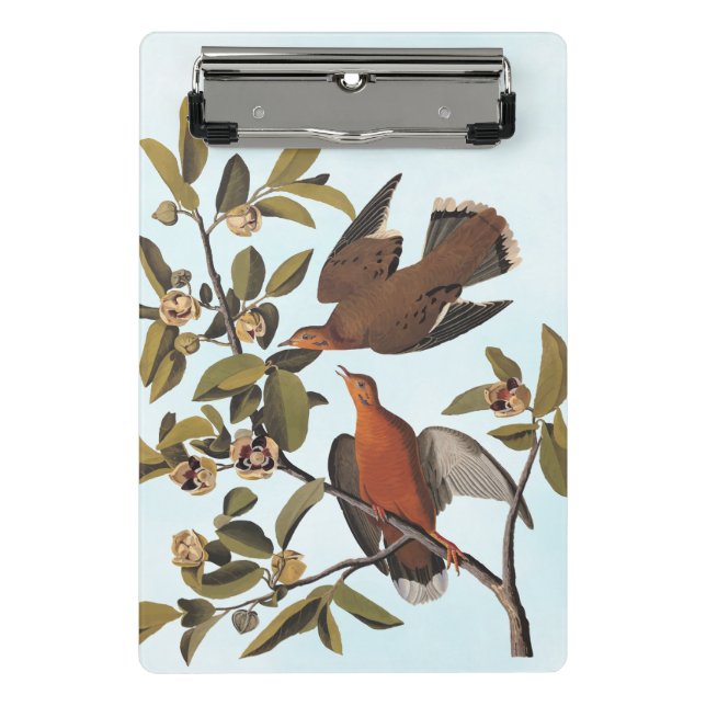 Audubon Zenaida Dove with Flowers Mini Clipboard (Front)