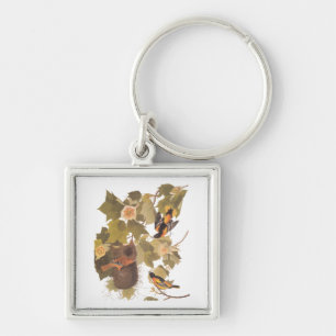 Audubon's Baltimore Oriole Birds in Poplar Tree Keychain