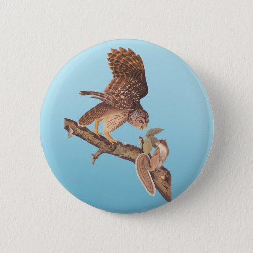 Audubons Barred Owl and Happy Squirrel Friends Button