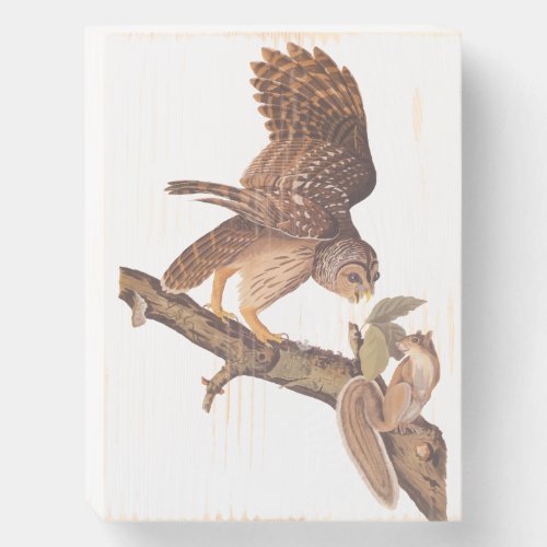 Audubons Barred Owl and Happy Squirrel Friends Wooden Box Sign