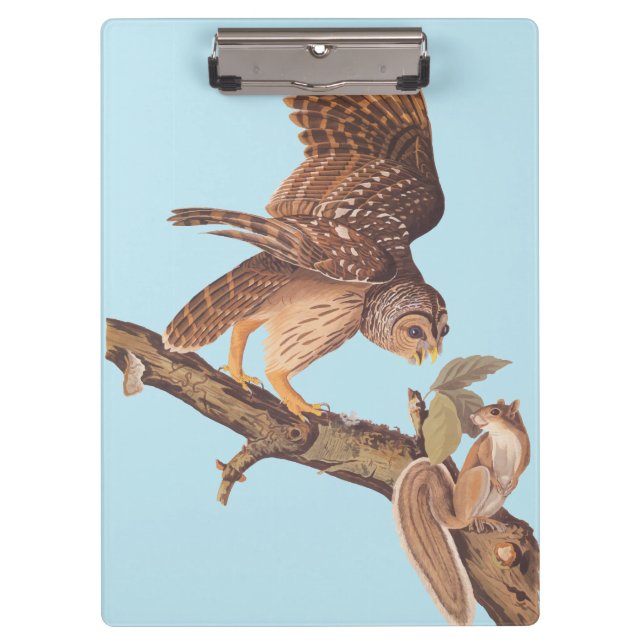 Audubon's Barred Owl and Squirrel Odd Friends Clipboard (Front)