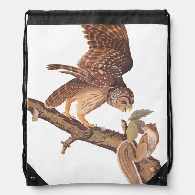 Audubon's Barred Owl and Squirrel Odd Friends Drawstring Bag (Front)