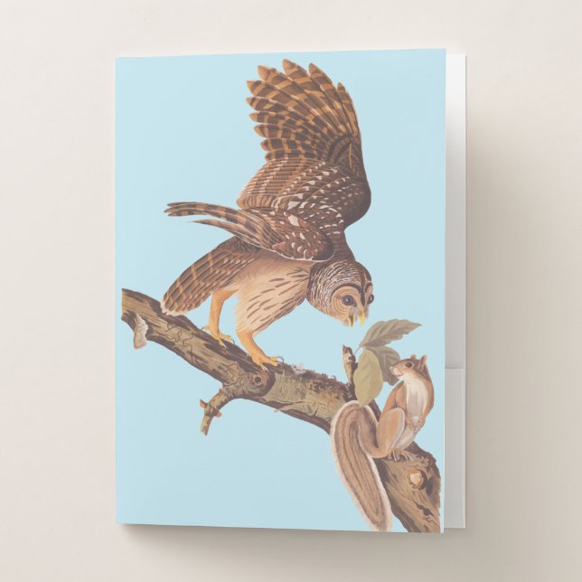 Audubon's Barred Owl and Squirrel Odd Friends Pocket Folder (Front)