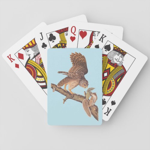 Audubons Barred Owl and Squirrel Odd Friends Poker Cards