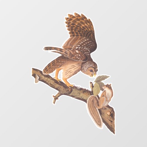 Audubons Barred Owl and Squirrel Odd Friends Window Cling