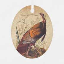 Audubon's Birds of America Wild Turkey Autumn Bird