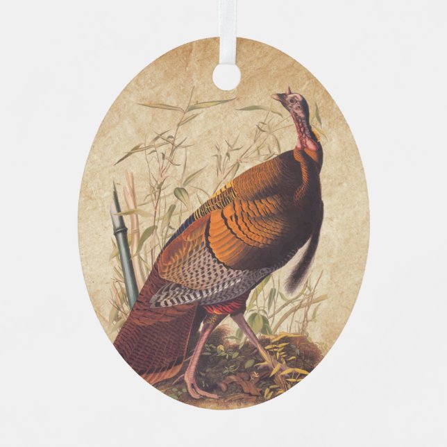 Audubon's Birds of America Wild Turkey Autumn Bird Metal Ornament (Front)