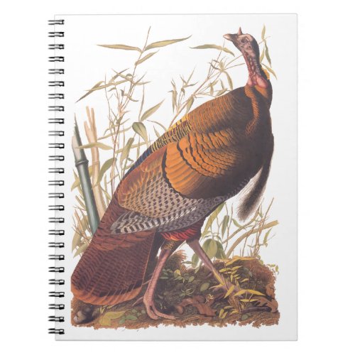 Audubons Birds of America Wild Turkey Autumn Bird Notebook