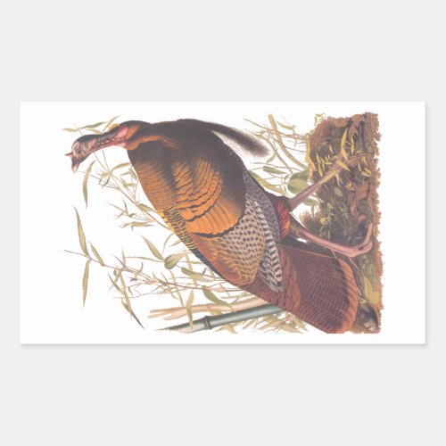 Audubons Birds of America Wild Turkey Autumn Bird Rectangular Sticker