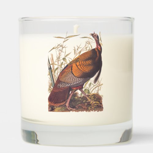 Audubons Birds of America Wild Turkey Autumn Bird Scented Candle