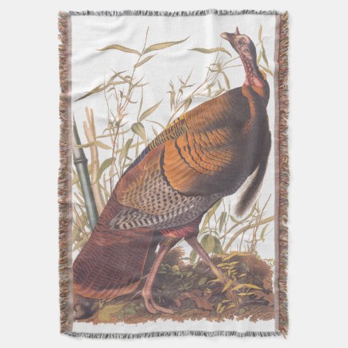 Audubons Birds of America Wild Turkey Autumn Bird Throw Blanket