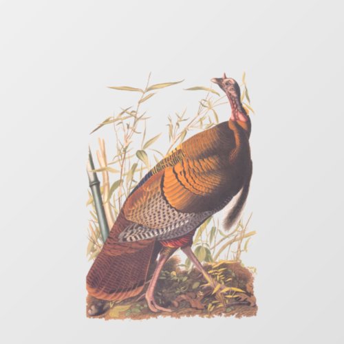 Audubons Birds of America Wild Turkey Autumn Bird Window Cling