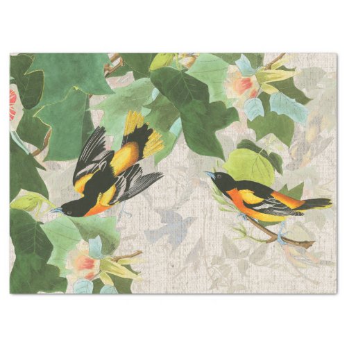 Audubons Birds Wildlife Animal Floral Tissue Paper