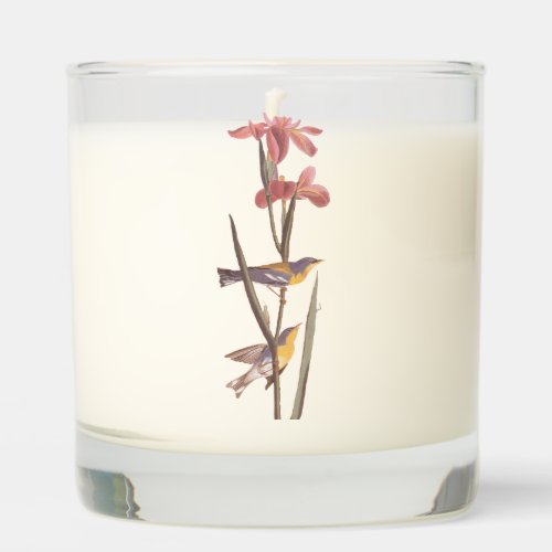 Audubons Blue Yellowback Warbler Song Birds Scented Candle