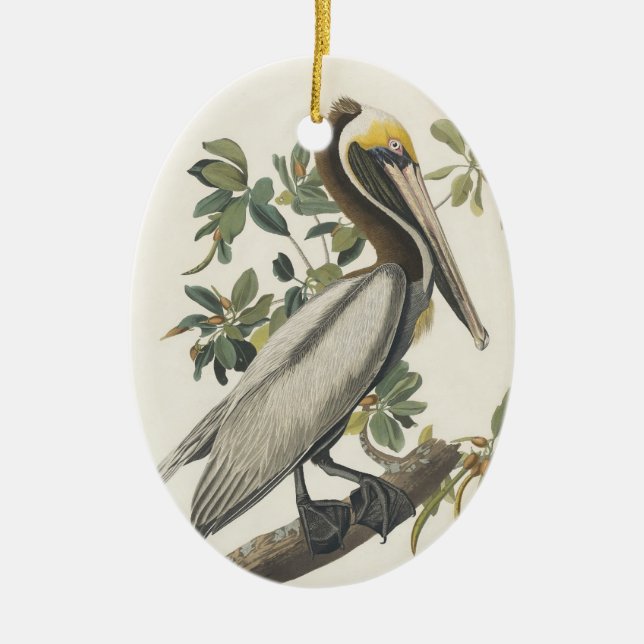 Audubon's Brown Pelican Ceramic Ornament (Front)