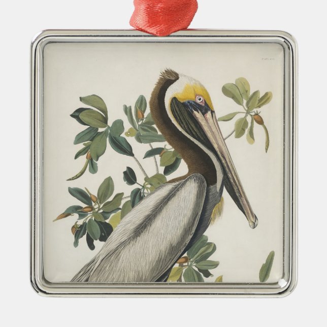 Audubon's Brown Pelican Metal Ornament (Front)
