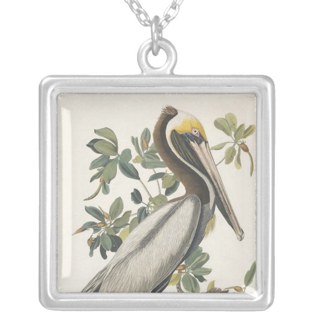 Audubon's Brown Pelican Silver Plated Necklace (Front)