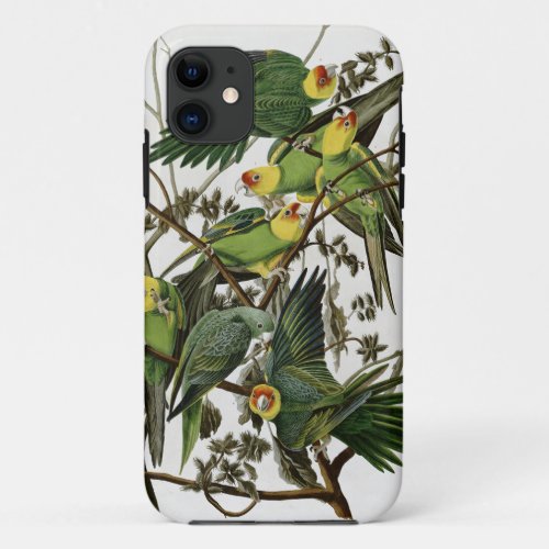 Audubons Carolina Parakeet iPhone 11 Case