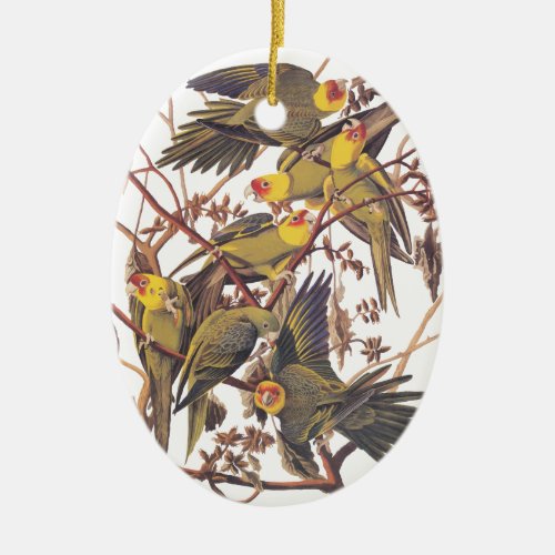 Audubons Carolina Parakeet Ceramic Ornament