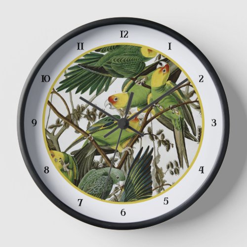 Audubons Carolina Parakeet Clock