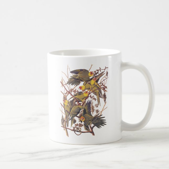 Audubon's Carolina Parakeet Coffee Mug (Right)