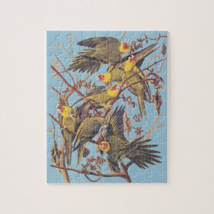 Audubon's Carolina Parakeet Jigsaw Puzzle