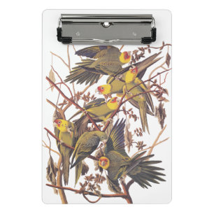 Audubon's Carolina Parakeet Mini Clipboard