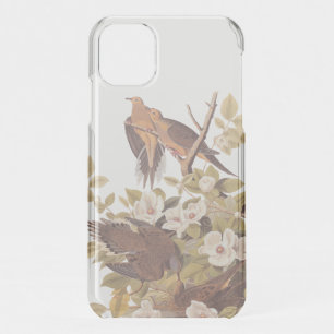 Audubon's Carolina Turtle Dove iPhone 11 Case