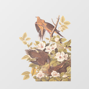 Audubon's Carolina Turtle Dove Window Cling
