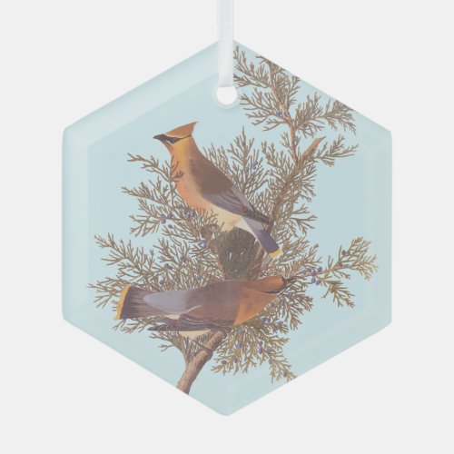 Audubons Cedar Waxwing Bird Pair on Evergreen Glass Ornament