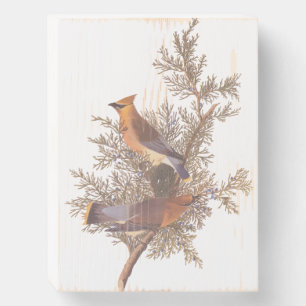 Audubon's Cedar Waxwing Bird Pair on Evergreen Wooden Box Sign