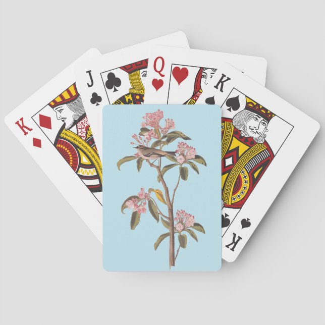 Audubon's Cuvier's Kinglet Bird on Pink Calico Poker Cards (Back)