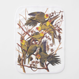 Audubon's Extinct Carolina Parakeet Flock Baby Burp Cloth