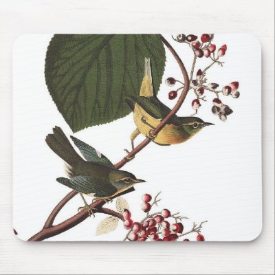 Audubon's Extra Warbler Mouse Pad
