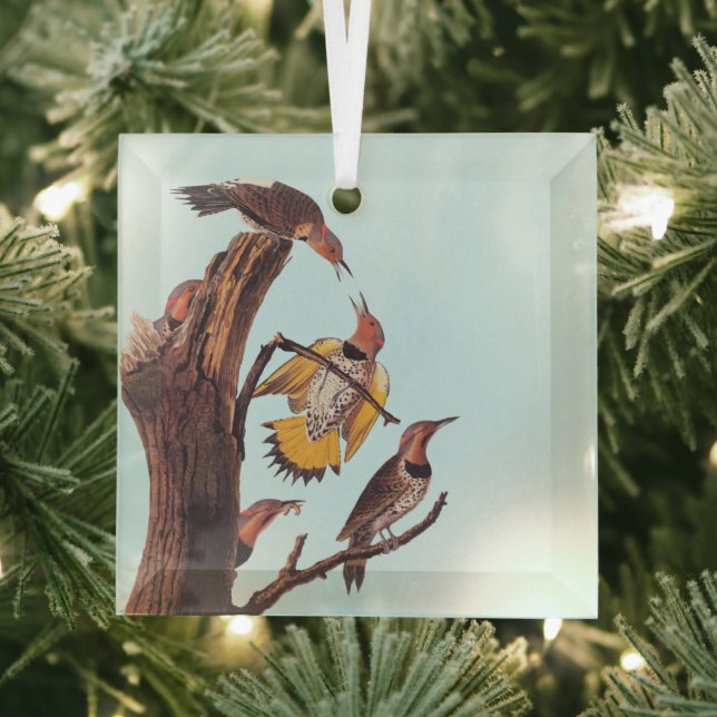 Audubon's Golden-Winged Woodpecker Family of Birds Glass Ornament (Insitu)