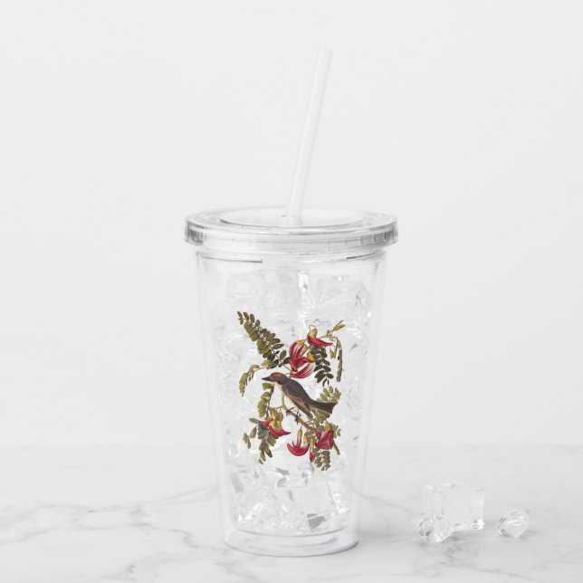 Audubon's Gray Tyrant Bird with Pink Flowers Acrylic Tumbler (Back Ice)
