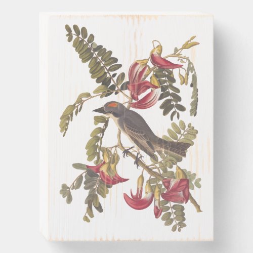 Audubons Gray Tyrant Bird with Pink Flowers  Wooden Box Sign