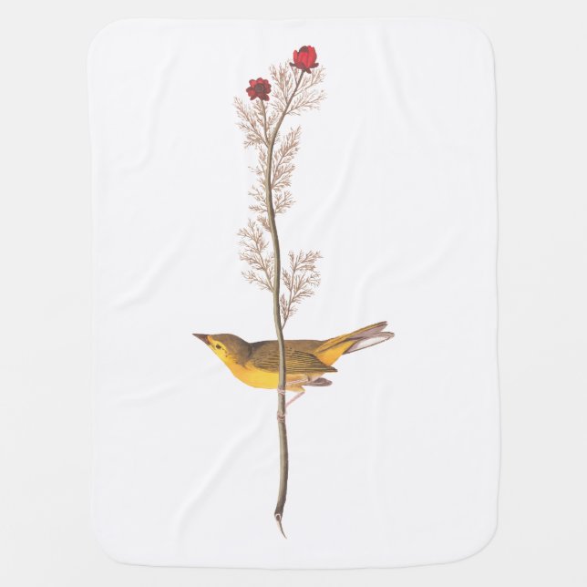 Audubon's Hooded Warbler Bird on Red Flower Baby Blanket (Front)