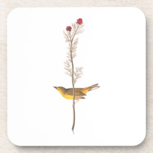 Audubon's Hooded Warbler Bird on Red Flower Beverage Coaster