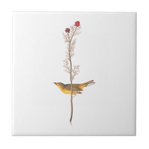 Audubons Hooded Warbler Bird on Red Flower Ceramic Tile