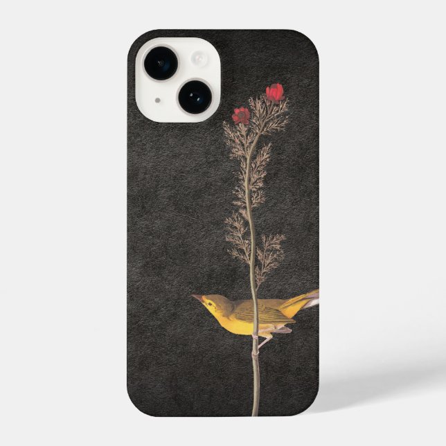 Audubon's Hooded Warbler Bird on Red Flower iPhone Case (Back)