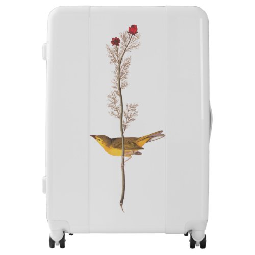 Audubons Hooded Warbler Bird on Red Flower Luggage