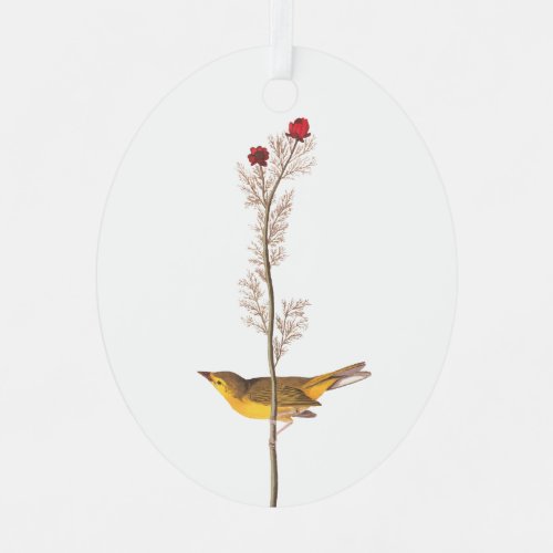 Audubons Hooded Warbler Bird on Red Flower Metal Ornament