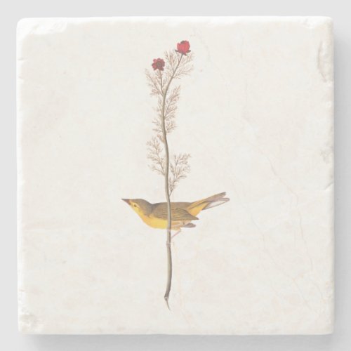 Audubons Hooded Warbler Bird on Red Flower Stone Coaster