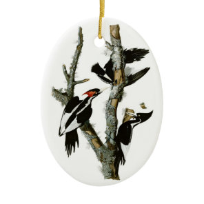 Audubon's Ivory-billed Woodpecker Ceramic Ornament