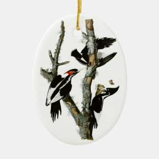 Audubon's Ivory-billed Woodpecker Ceramic Ornament
